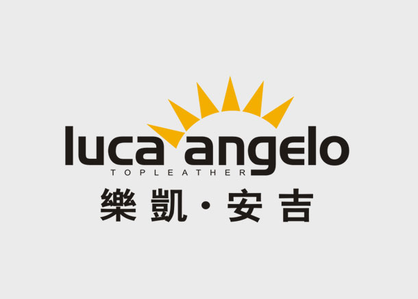 乐凯安吉公司标志设计