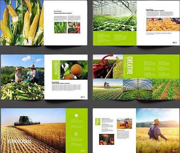 农产品公司宣传册设计方案怎么写？种植公司宣传册设计方法！