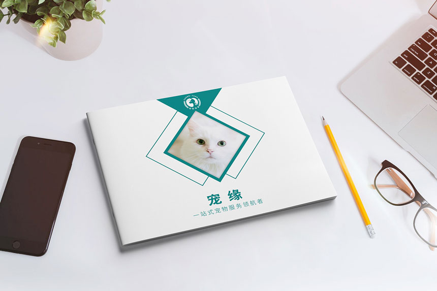 宠物服务画册设计_宠物手册设计制作-东莞天娇广告公司